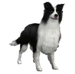 Puppy Bark Training in 5 Minutes || Guard Dog कैसे बनाए अपने Puppy को (4k Hindi)🐶