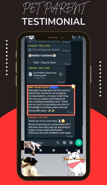Gray and White Minimalist Customer Testimonial Instagram Story_20240501_225005_0000