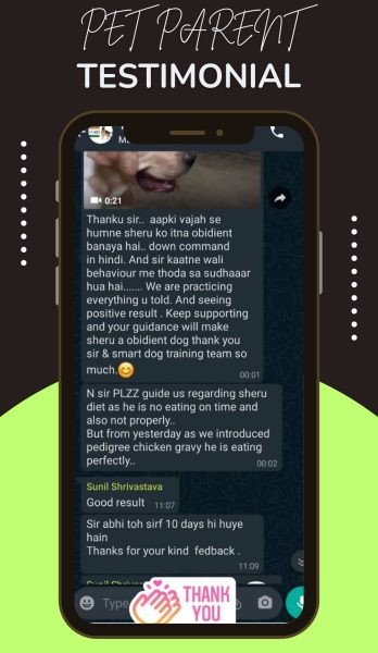 Gray and White Minimalist Customer Testimonial Instagram Story_20240501_230432_0000