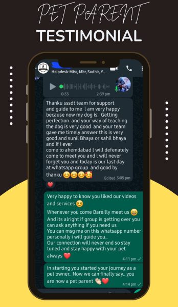 Gray and White Minimalist Customer Testimonial Instagram Story_20240501_231527_0000