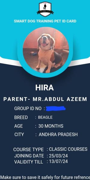 IMG-20240329-WA0007-1