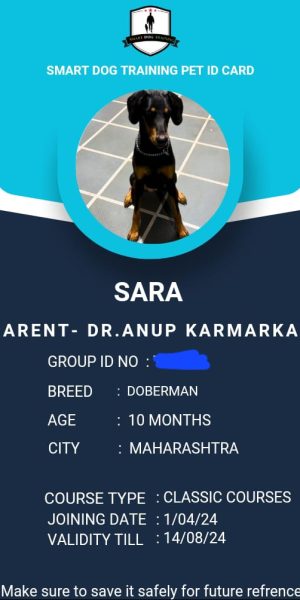 IMG-20240329-WA0008-1