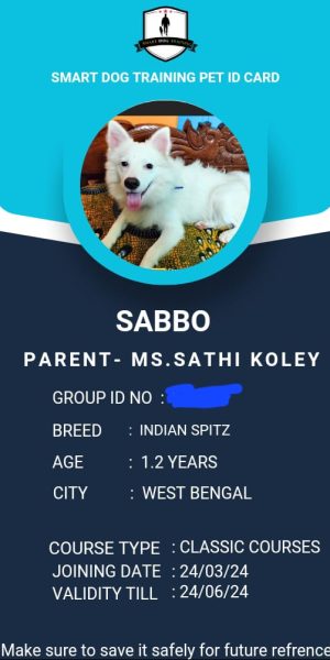 IMG-20240329-WA0010-1