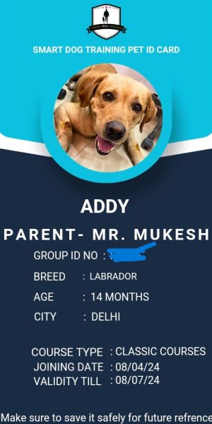 IMG-20240410-WA0002-1