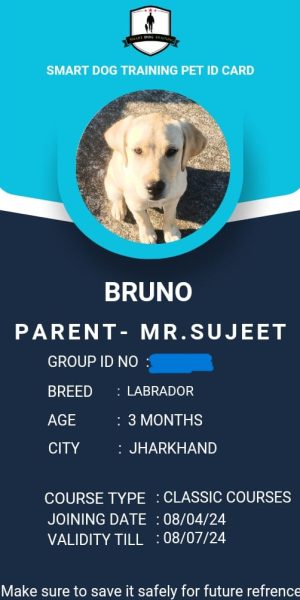 IMG-20240410-WA0003-1