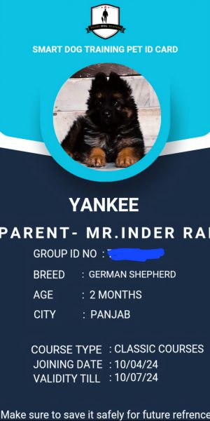 IMG-20240410-WA0014-1