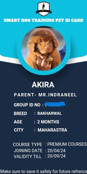 IMG-20240420-WA0034-2